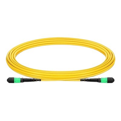 12-ytiminen Fiber Patch -johto